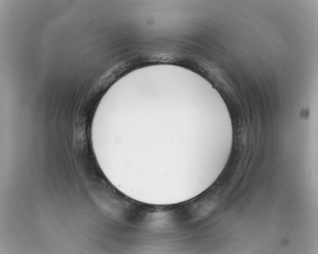 X0000089900312200707262256