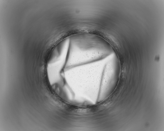 X0000089900314200707262256
