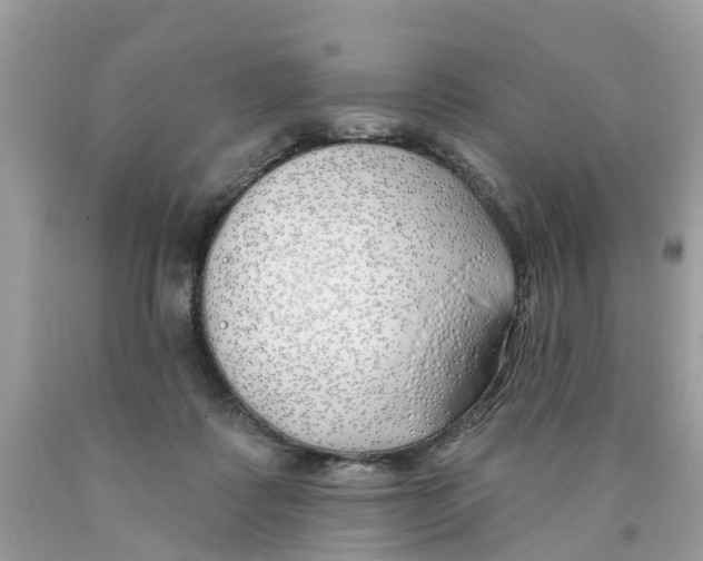 X0000089900315200707262256