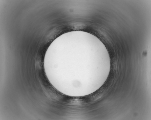 X0000089900316200707262256