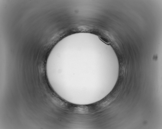 X0000089900317200707262256