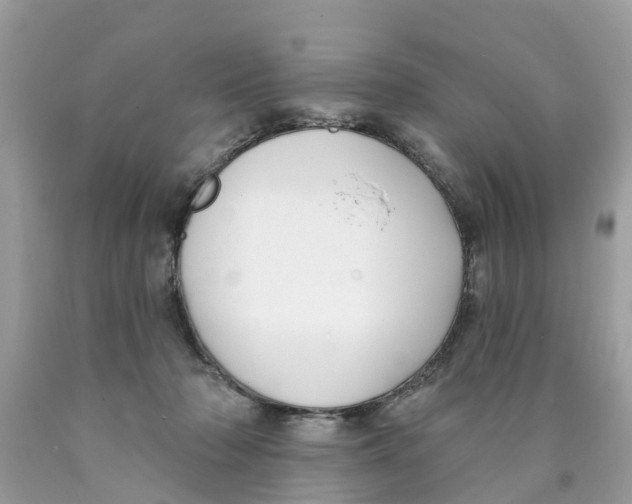 X0000089900318200707262256