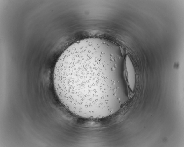 X0000089900319200707262256