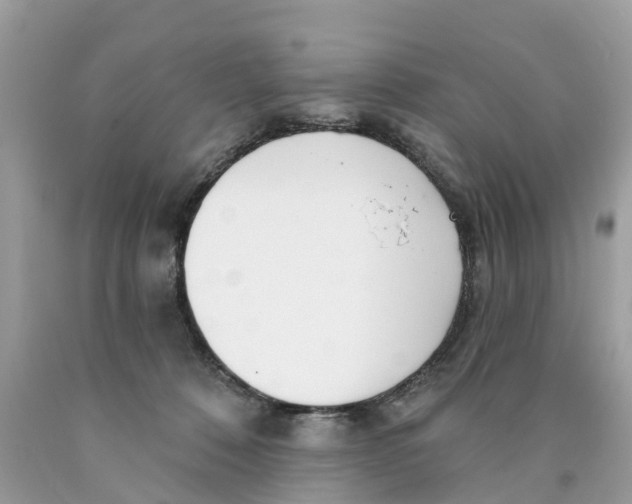 X0000089900320200707262256