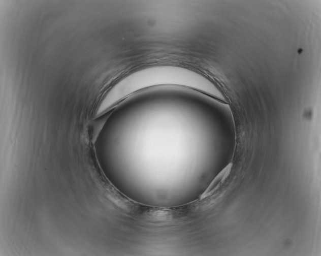 X0000089900325200707262256