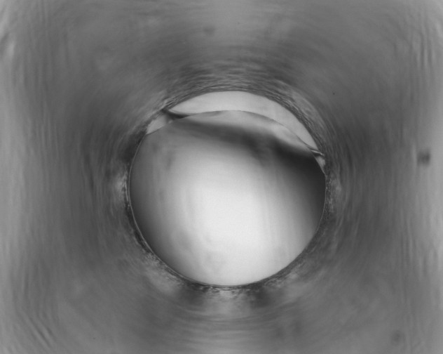 X0000089900329200707262256