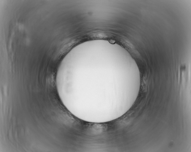 X0000089900330200707262256