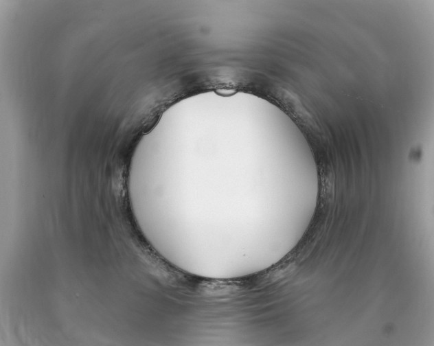 X0000089900331200707262256