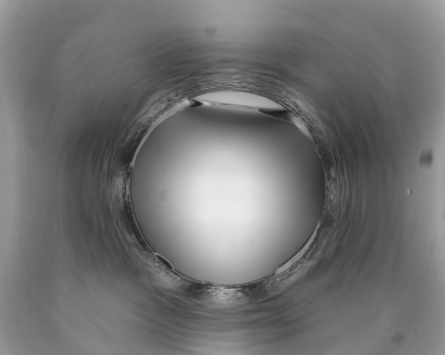 X0000089900333200707262256