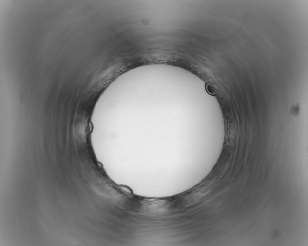 X0000089900334200707262256