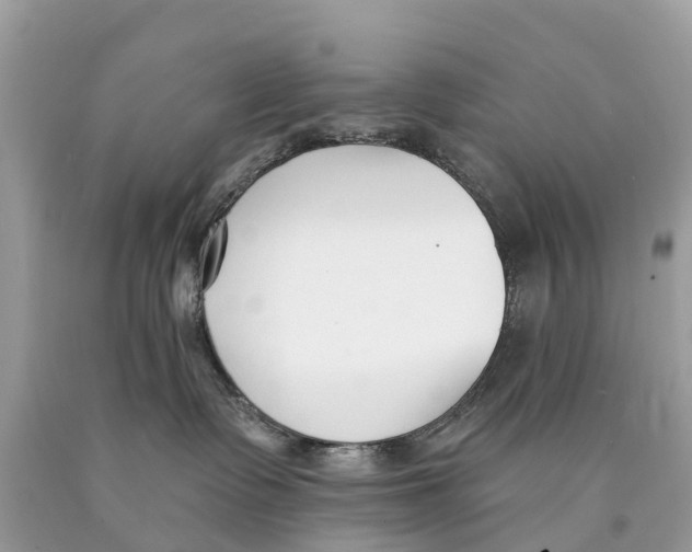 X0000089900335200707262256