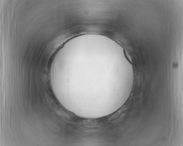 X0000089900338200707262255