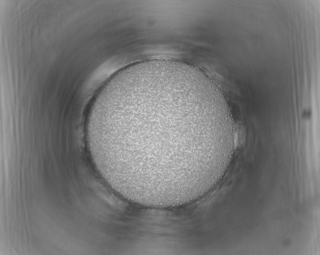X0000089900339200707262255