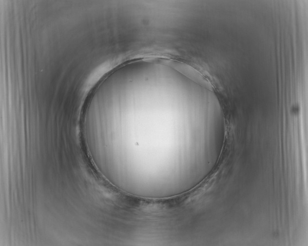 X0000089900340200707262255