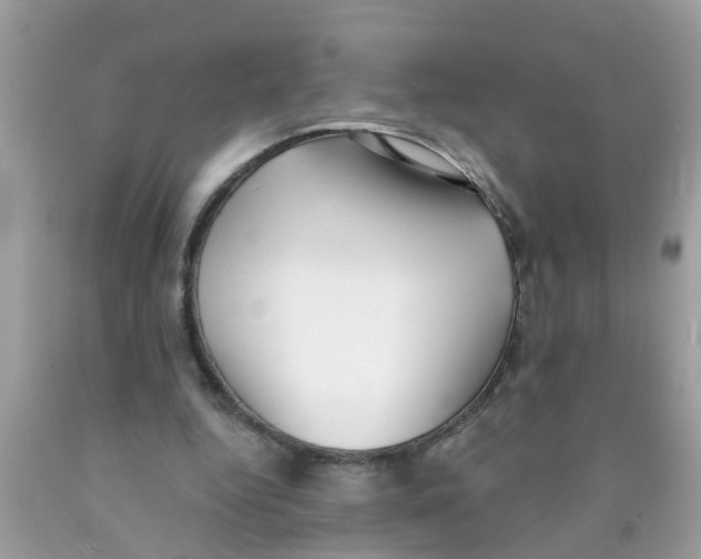 X0000089900344200707262255