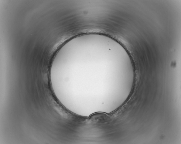 X0000089900345200707262255