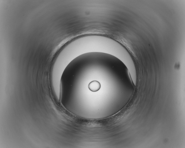 X0000089900348200707262256