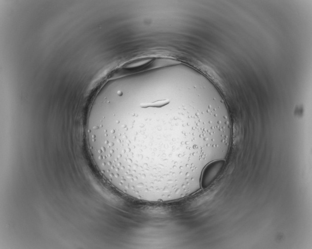 X0000089900349200707262256
