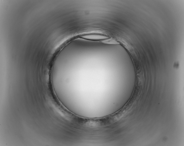 X0000089900350200707262256