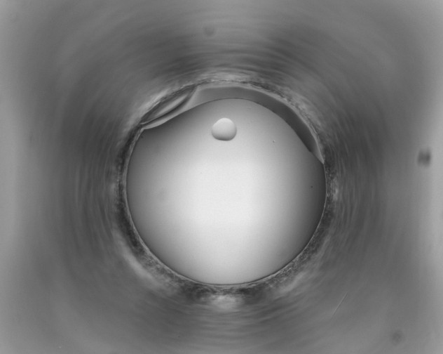 X0000089900352200707262256