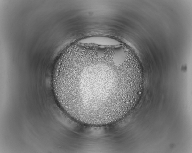 X0000089900353200707262256