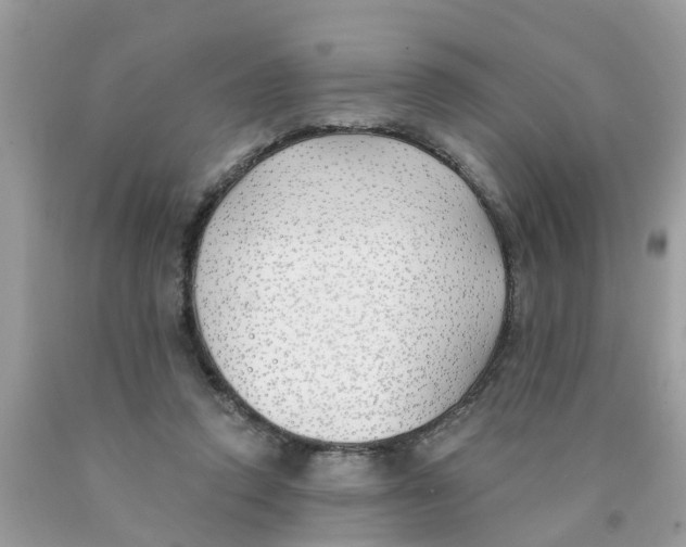 X0000089900354200707262256