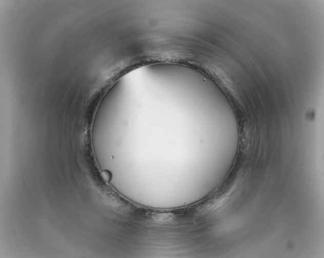 X0000089900355200707262256