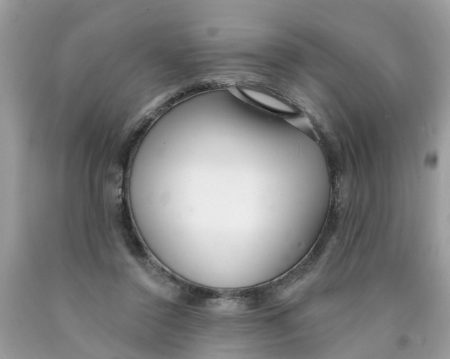 X0000089900356200707262256