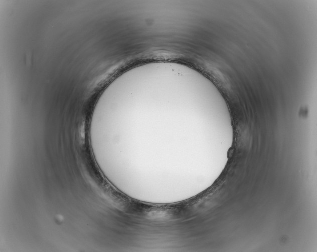 X0000089900358200707262256