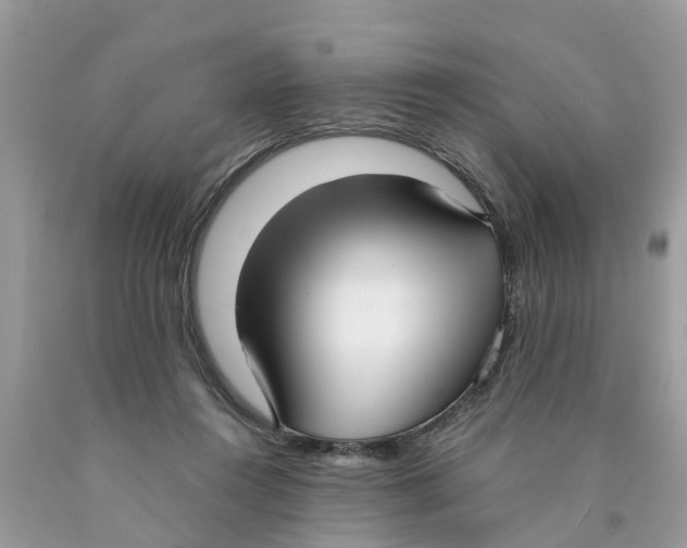 X0000089900360200707262256