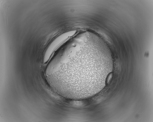 X0000089900361200707262256