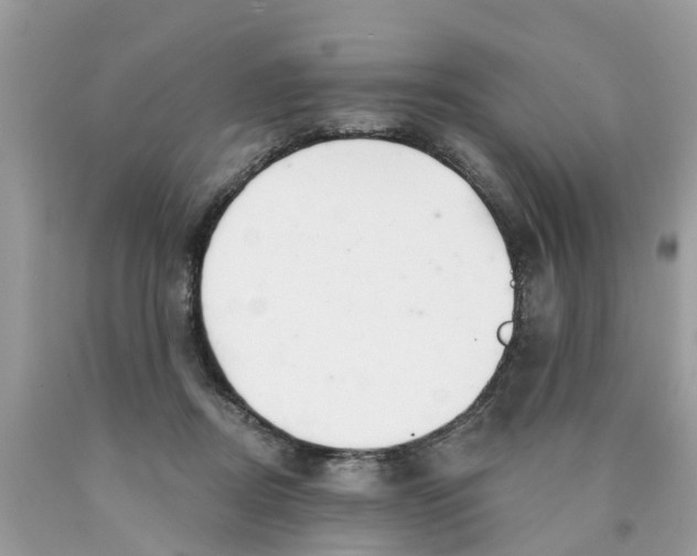 X0000089900362200707262256