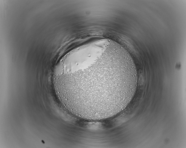 X0000089900363200707262256