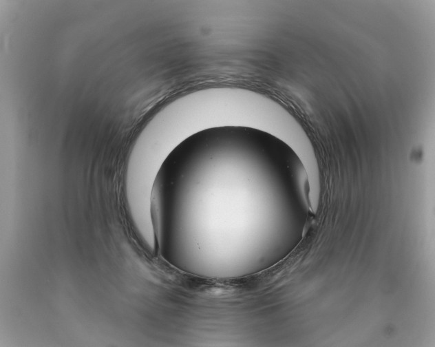 X0000089900364200707262256