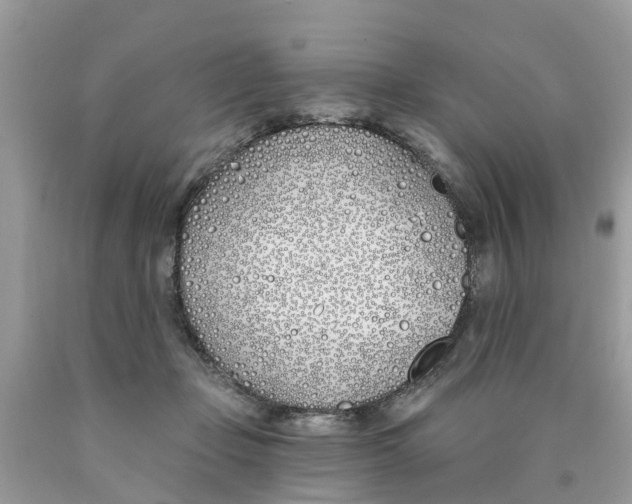 X0000089900365200707262256