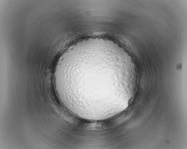 X0000089900366200707262256