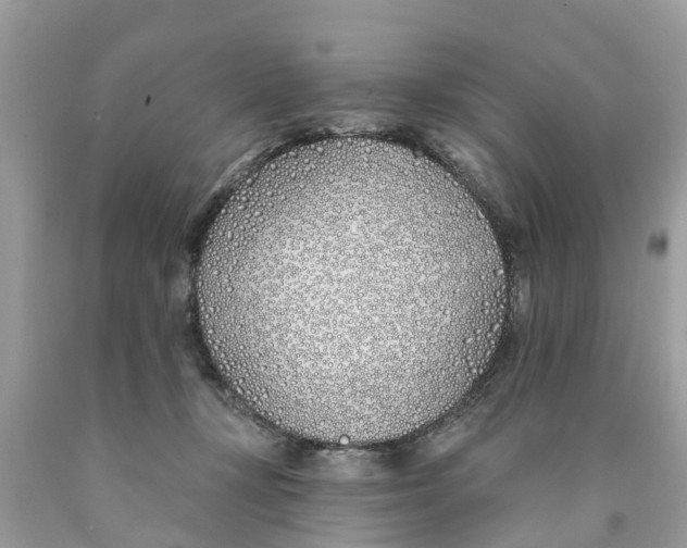 X0000089900367200707262256