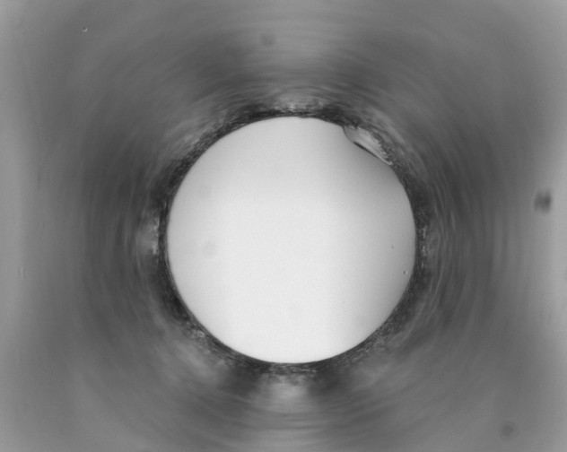 X0000089900368200707262256