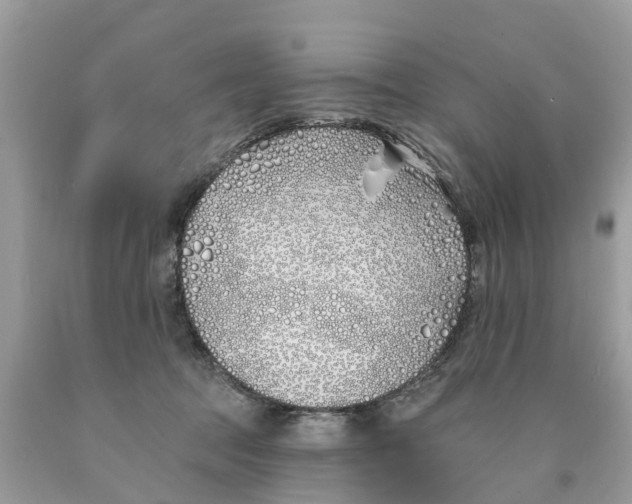 X0000089900369200707262256