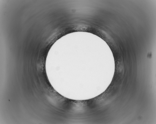 X0000089900370200707262256