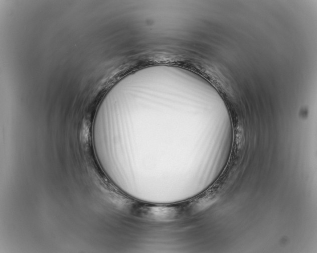 X0000089900371200707262256