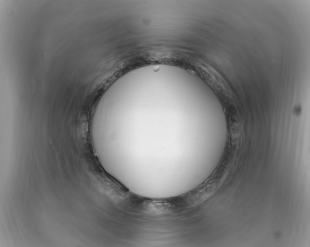 X0000089900372200707262256