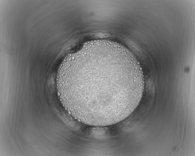 X0000089900373200707262256