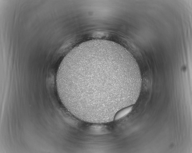 X0000089900375200707262256