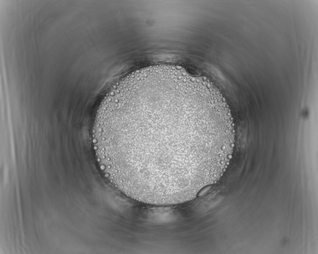 X0000089900377200707262256