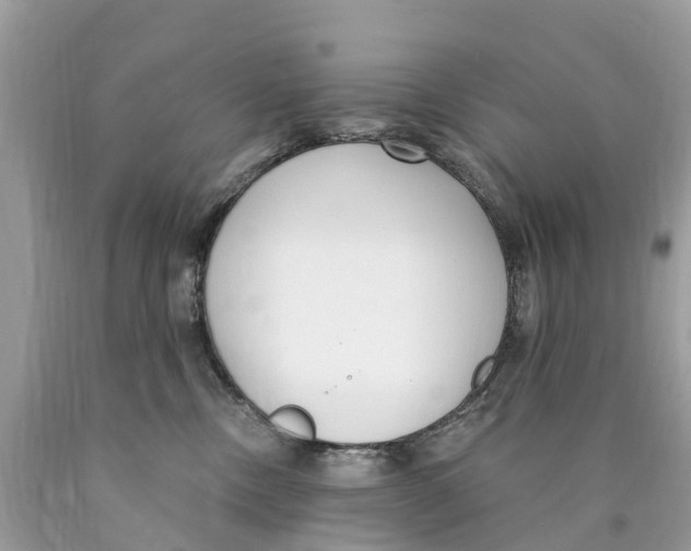 X0000089900378200707262256