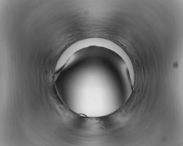 X0000089900380200707262256
