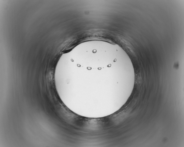 X0000089900382200707262256