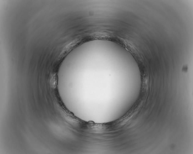 X0000089900383200707262256