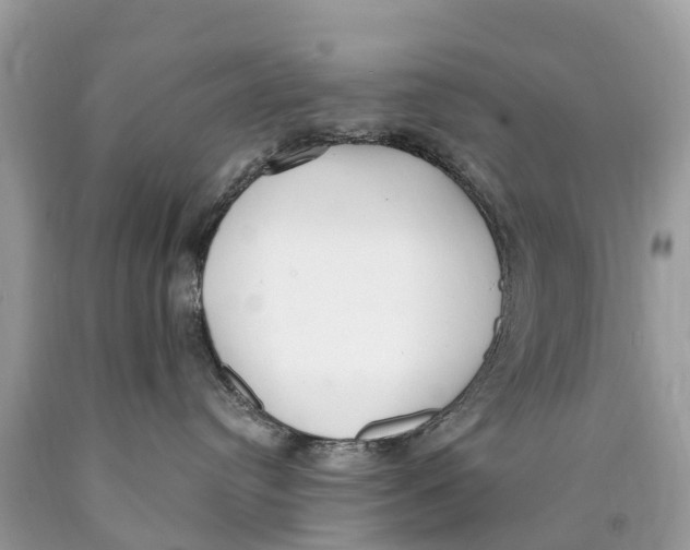 X0000089900384200707262256